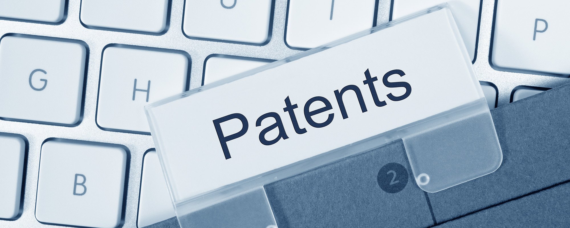 Utility Models: Economical, Efficient, and Enforceable Patent Protection