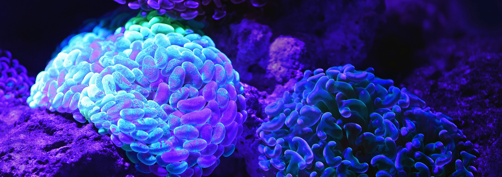 Common life science patentability issues working their way into AI applications