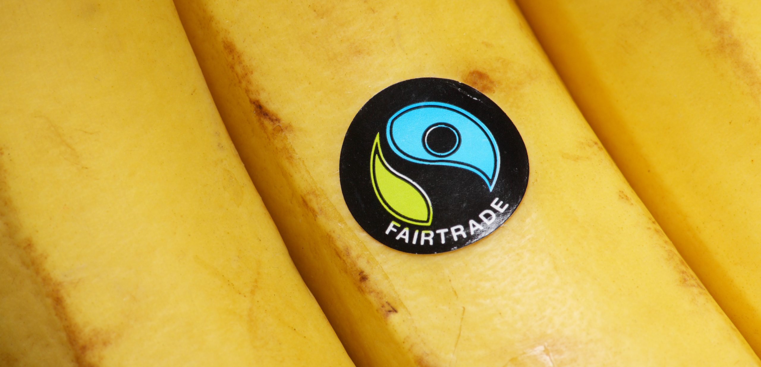 The power of a brand as a vehicle for addressing environmental challenges