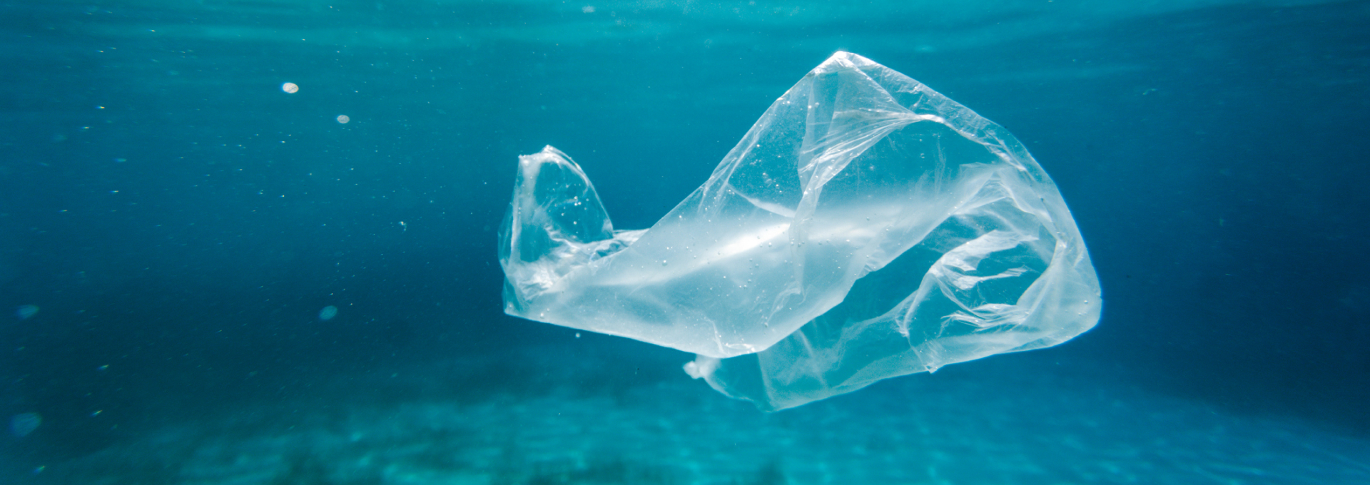 Planet vs. Plastics